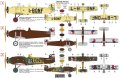 KPM-4819_kamo.jpg