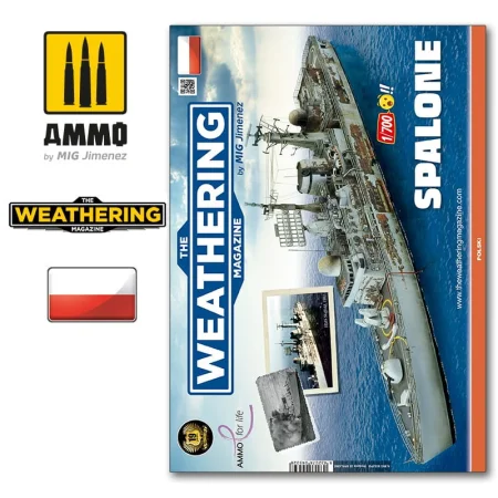 ammo mig-spalony (1).jpg