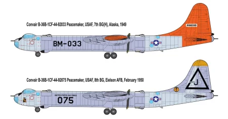 roden-347 (4).jpg