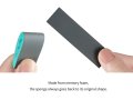 dspiae-ss (1).jpg