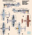 MISTERCRAFT-C01-Focke Wulf Fw 190A-4 (3).jpg
