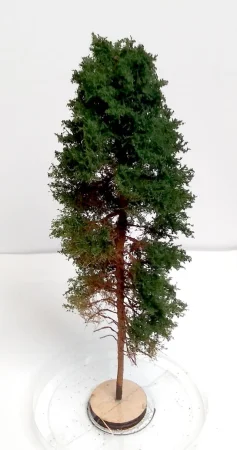 freon-sob1.jpg