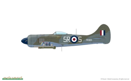 EDUARD-82125 (2).jpg