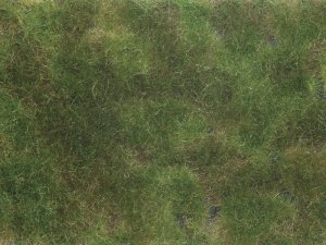 NOCH 07251 - Mata roślinna oliwkowo-zielona