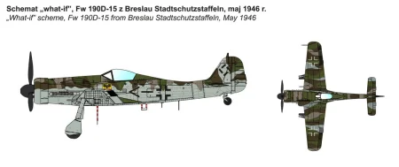 ibg-72540 (14).jpg