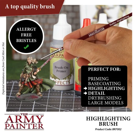 BR7002 Hobby Highlighting 02.jpg