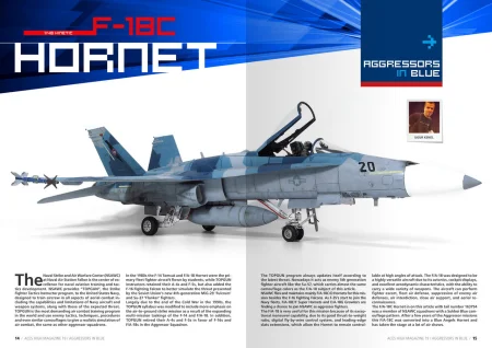 AK2941-aggressor (2).jpg