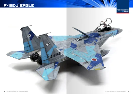 AK2941-aggressor (7).jpg