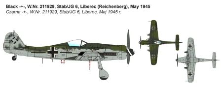 ibg72545 (1).jpg