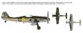 ibg72536 (2).jpg