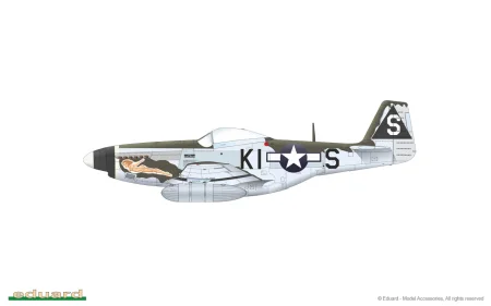 eduard-82101 (11).jpg