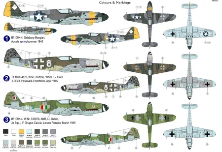 AZ7819_kamo.jpg