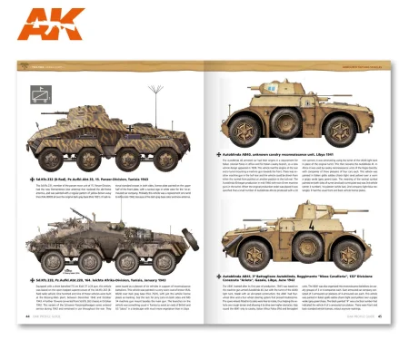 AK271-3.jpg