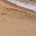 AK8019-1.jpg