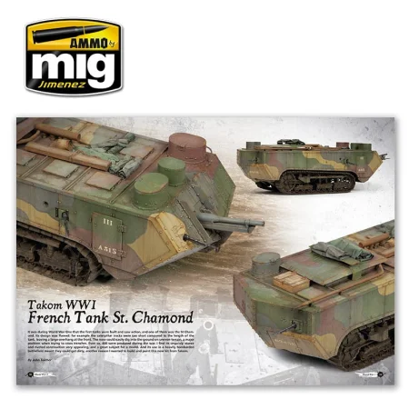 AMIG6011 (2).jpg