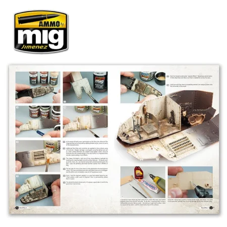 AMIG6011 (10).jpg