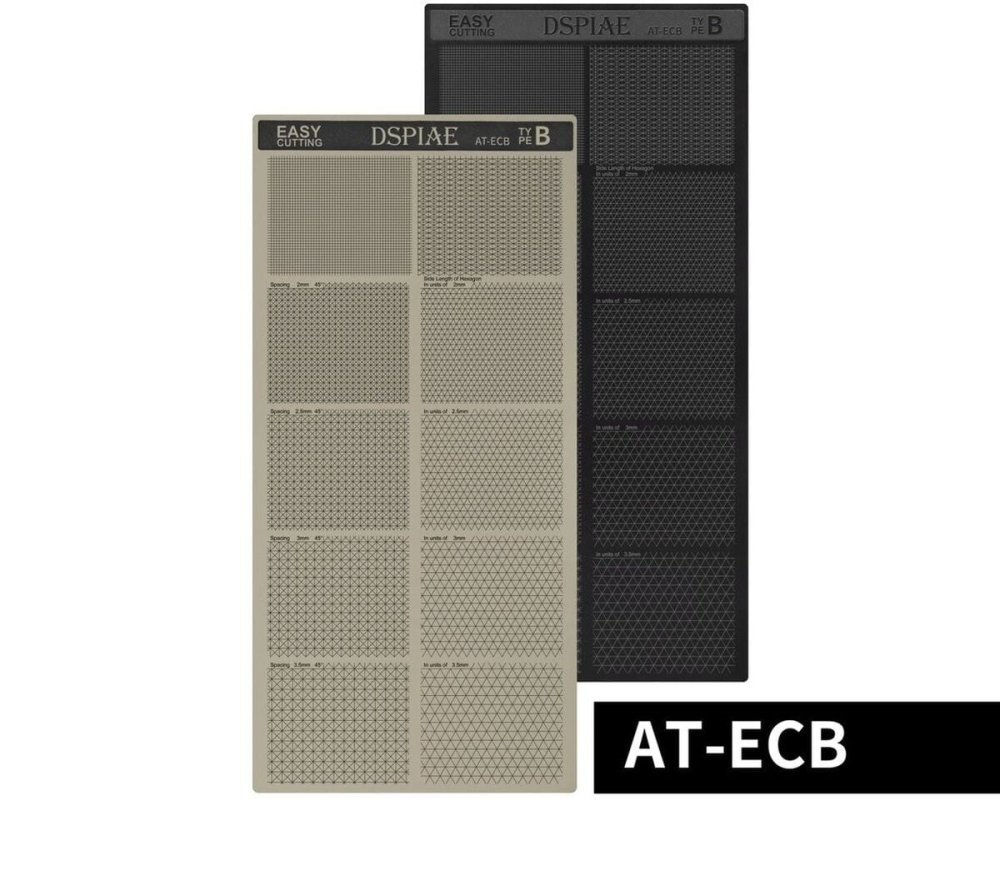 DSPIAE-AT-ECB.jpg