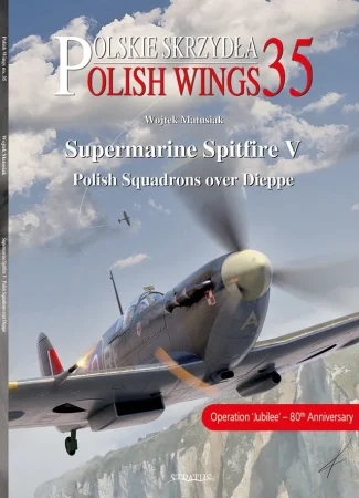 polish-wings-no-35.jpg