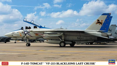 hasegawa-02406-tomcat.jpg