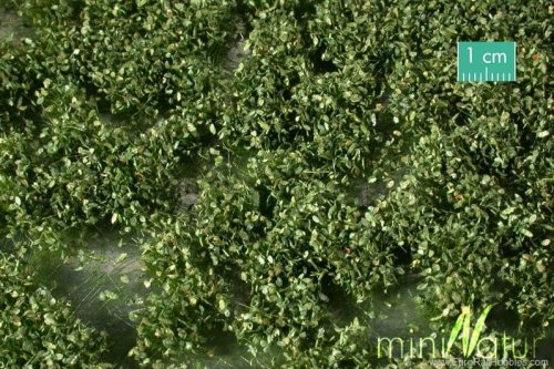 Przejdź do produktu Mininatur 724-21S - Krzewy truskawek, jeżyn - wiosna / Strawberry blackberry bushes spring