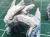 base-ready-snow-powder-base-ready-5_600x.webp