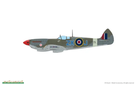 84154-01.jpg