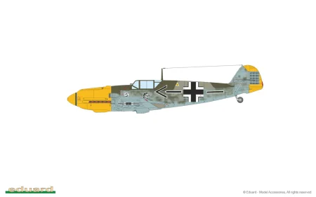 7033-06.jpg