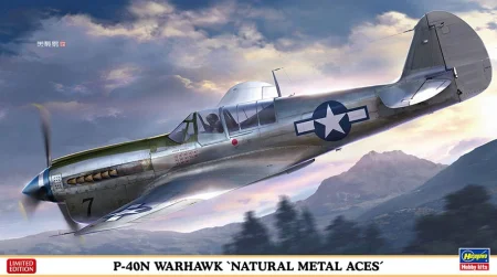 hasegawa-07516-warhawk.jpg