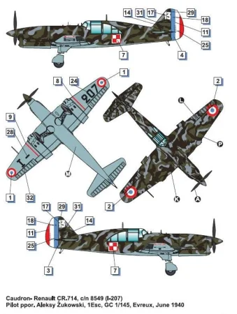 Dora-Wings-Caudron-Renault-CR (8).jpg