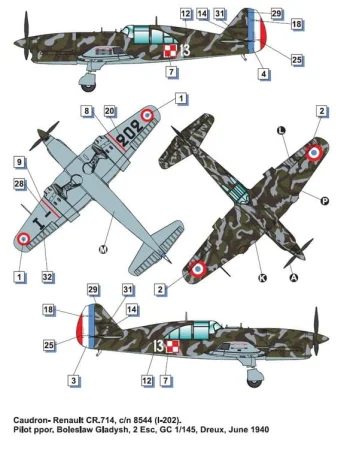 Dora-Wings-Caudron-Renault-CR (9).jpg