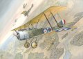 Roden-635-Sopwith-Strutter (1).jpg