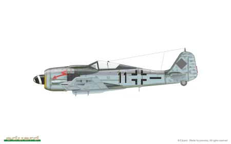 70119_a.jpg