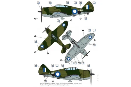 dora-wings-72029 (5).jpg
