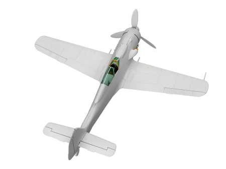 ibg-72544-fw-190-d-9 (9).jpg