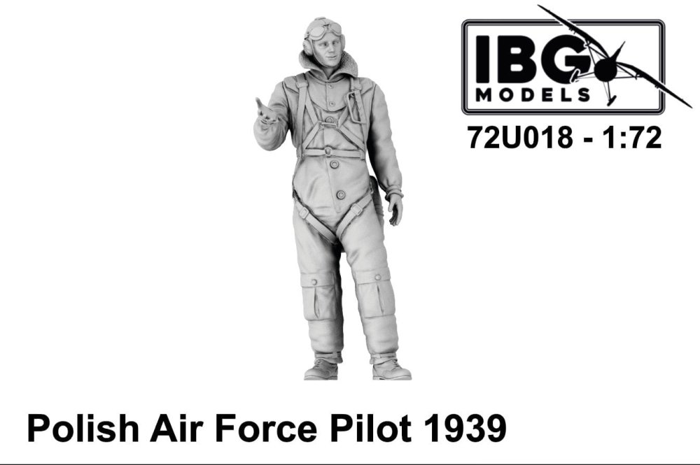 ibg-72u018-polish-pilot-1939.jpg