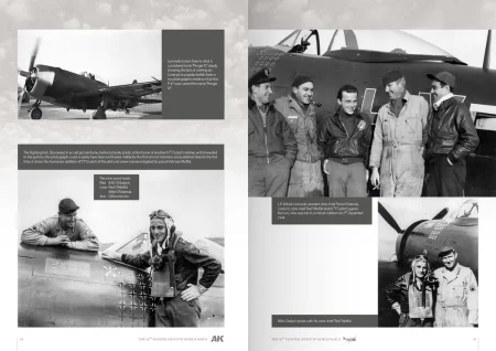 AK130005-US-56th-Fighter-Group-44-45.jpg