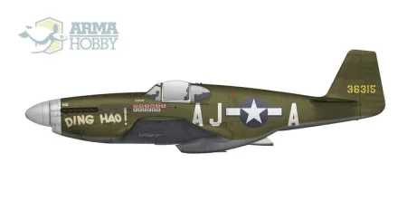 Arma-Hobby-70067-P-51-B-C-Mustang (4).jpg