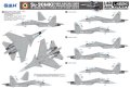 gwh-4826-su-30 (5).jpg