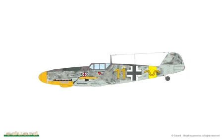 2143-03-C.jpg