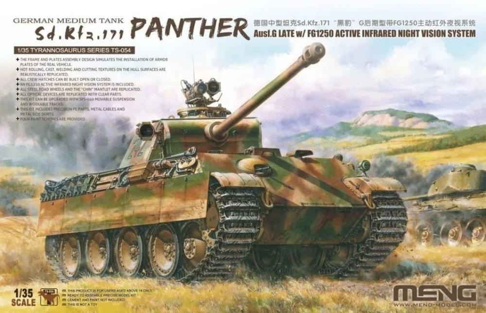 meng-TS054 (1).jpg