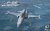 AFV-Club-AR48S12-F-5E (1).jpg
