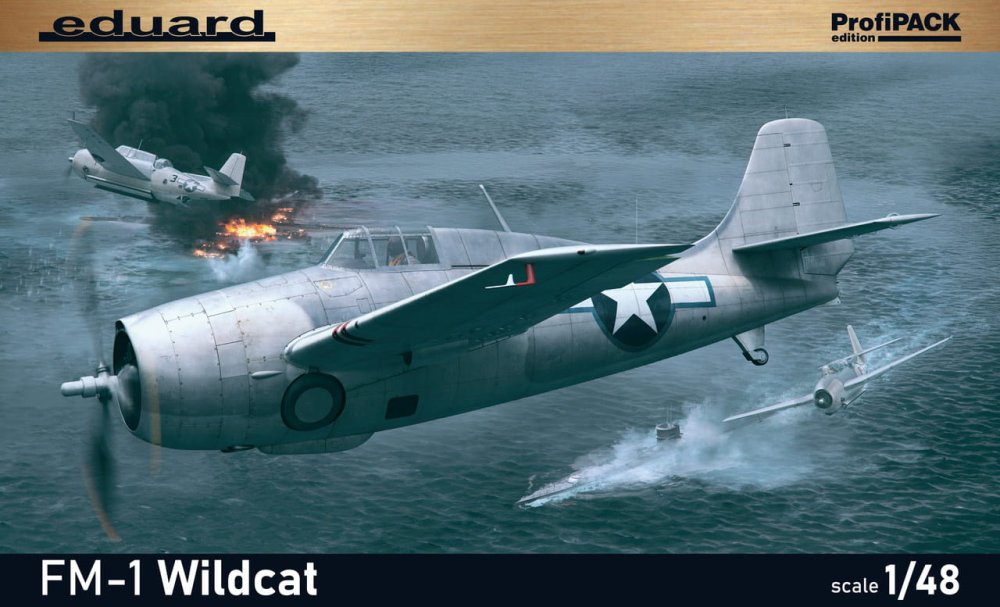 eduard-82204-fm-1-wildcat.jpg