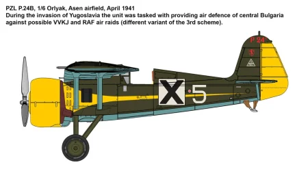 IBG-72554-PZL-P (6).jpg