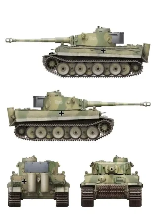 Border-BT034-Tiger (2).jpg