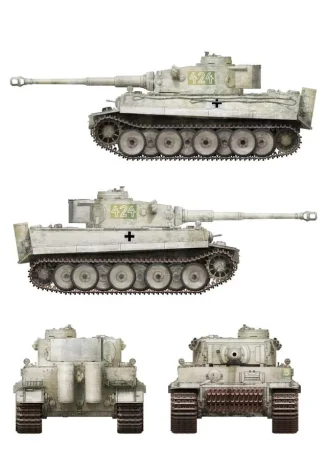 Border-BT034-Tiger (5).jpg