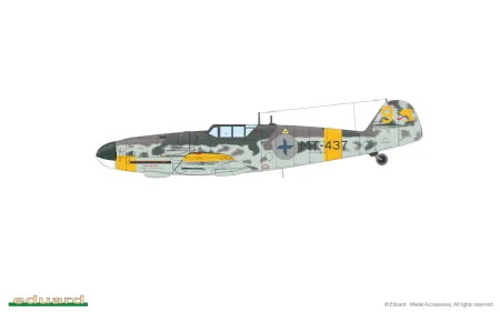 2144-12-L.jpg