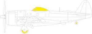 Eduard EX998 - 1:48 P-47D-25 TFace
