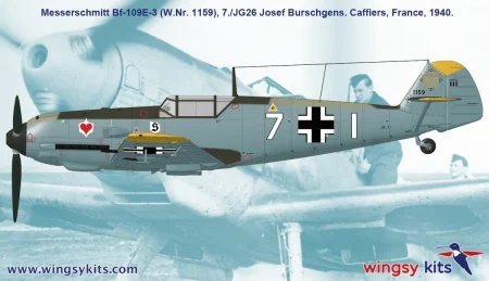 Wingsy-Kits-D5-08 (6).jpg