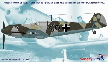 Wingsy-Kits-D5-08 (7).jpg