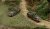 7510_foto_con-decalsLR.jpg